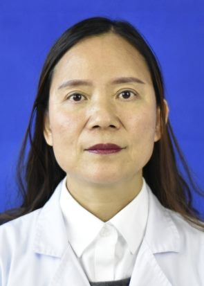 丁晓岚 