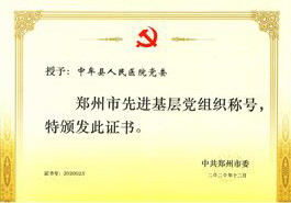 2020年郑州市先进基层党组织